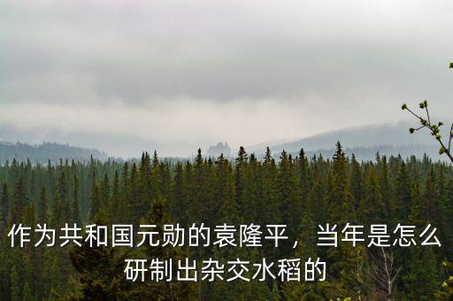 作為共和國(guó)元?jiǎng)椎脑∑?，?dāng)年是怎么研制出雜交水稻的