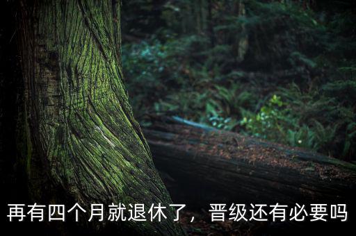 再有四個(gè)月就退休了，晉級(jí)還有必要嗎