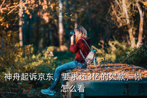 神舟起訴京東，要求還3億的欠款，你怎么看