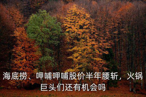 海底撈、呷哺呷哺股價半年腰斬，火鍋巨頭們還有機會嗎