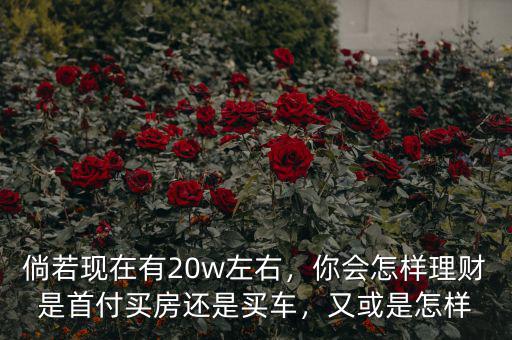 怎么理財(cái)買車,你會怎樣理財(cái)