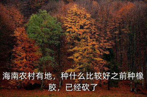 海南農村有地，種什么比較好之前種橡膠，已經砍了