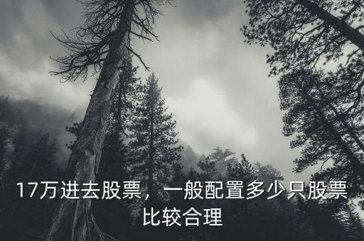 17萬進(jìn)去股票，一般配置多少只股票比較合理