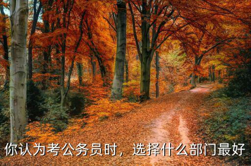 你認(rèn)為考公務(wù)員時，選擇什么部門最好