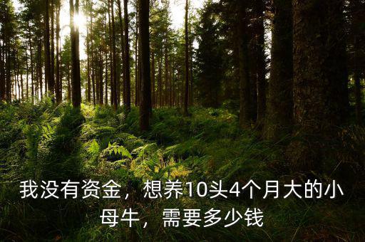 我沒有資金，想養(yǎng)10頭4個月大的小母牛，需要多少錢