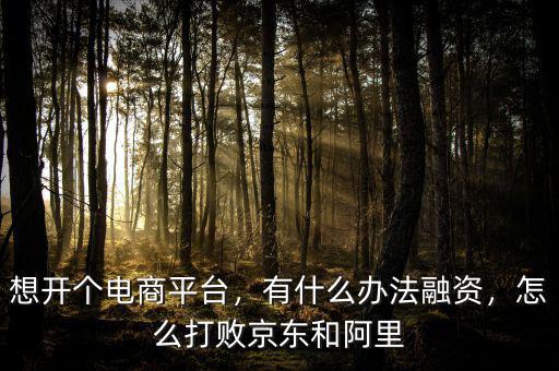 想開個(gè)電商平臺(tái)，有什么辦法融資，怎么打敗京東和阿里