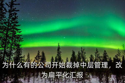 為什么有的公司開始裁掉中層管理，改為扁平化匯報