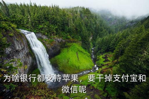 為啥銀行都支持蘋果，要干掉支付寶和微信呢