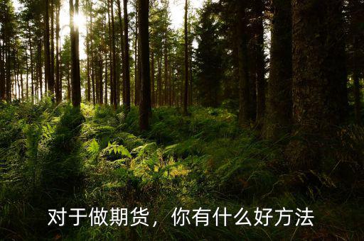 對(duì)于做期貨，你有什么好方法