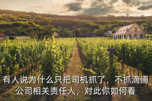 有人說為什么只把司機抓了，不抓滴滴公司相關(guān)責任人，對此你如何看