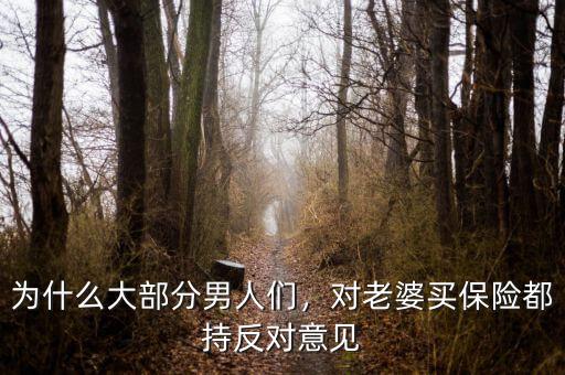 為什么大部分男人們，對老婆買保險都持反對意見
