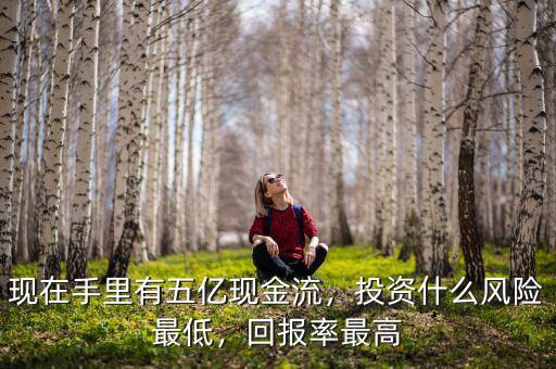 現(xiàn)在手里有五億現(xiàn)金流，投資什么風(fēng)險(xiǎn)最低，回報(bào)率最高