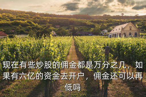 現(xiàn)在有些炒股的傭金都是萬分之幾，如果有六億的資金去開戶，傭金還可以再低嗎