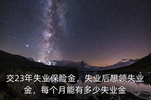 交23年失業(yè)保險(xiǎn)金，失業(yè)后想領(lǐng)失業(yè)金，每個(gè)月能有多少失業(yè)金