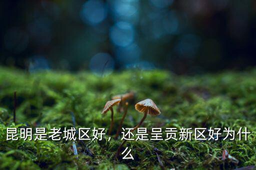 昆明是老城區(qū)好，還是呈貢新區(qū)好為什么