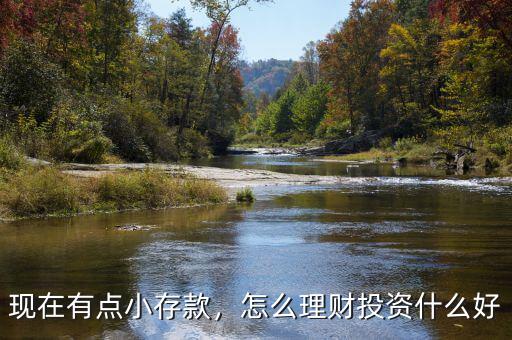 現(xiàn)在有點(diǎn)小存款，怎么理財(cái)投資什么好