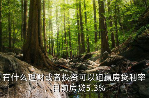 有什么理財或者投資可以跑贏房貸利率，目前房貸5.3%
