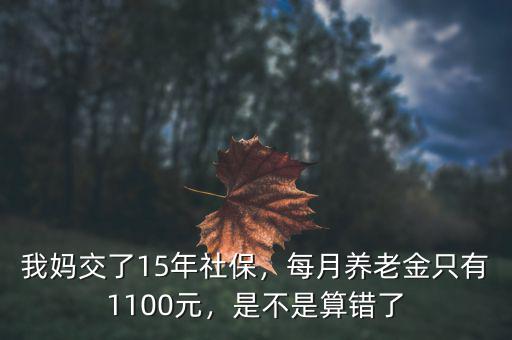 我媽交了15年社保，每月養(yǎng)老金只有1100元，是不是算錯(cuò)了