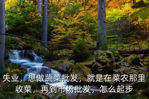 失業(yè)，想做蔬菜批發(fā)，就是在菜農(nóng)那里收菜，再到市場(chǎng)批發(fā)，怎么起步