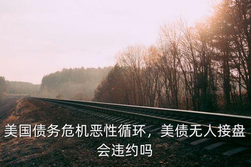 美國債務(wù)危機(jī)惡性循環(huán)，美債無人接盤會違約嗎