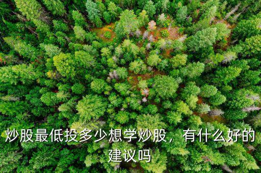 炒股最低投多少想學(xué)炒股，有什么好的建議嗎