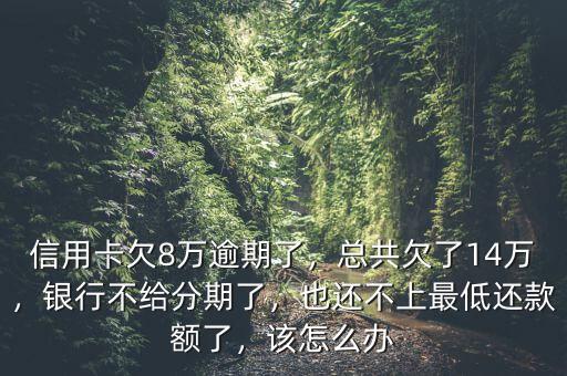 信用卡欠8萬逾期了，總共欠了14萬，銀行不給分期了，也還不上最低還款額了，該怎么辦