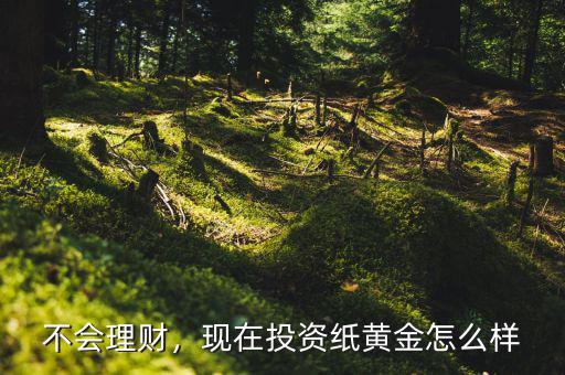 不會(huì)理財(cái)，現(xiàn)在投資紙黃金怎么樣