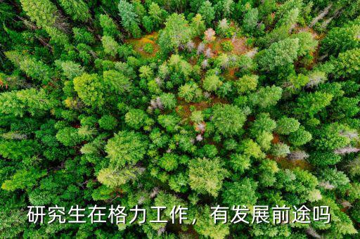 研究生在格力工作，有發(fā)展前途嗎