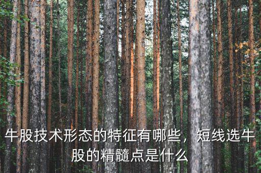 牛股技術(shù)形態(tài)的特征有哪些，短線選牛股的精髓點(diǎn)是什么
