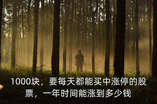 1000塊，要每天都能買中漲停的股票，一年時(shí)間能漲到多少錢