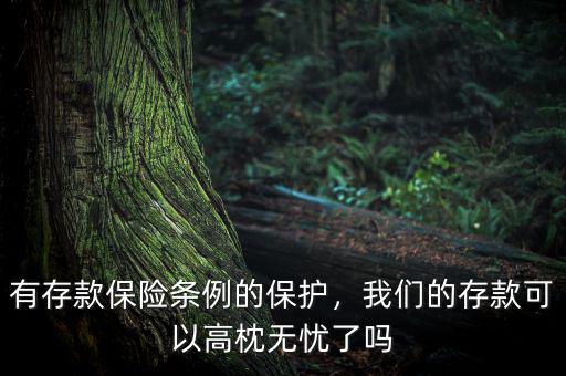 有存款保險條例的保護，我們的存款可以高枕無憂了嗎