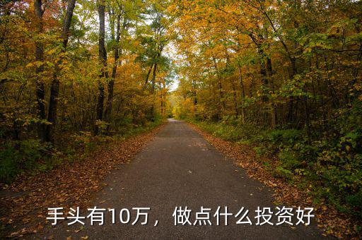 手頭有10萬，做點什么投資好