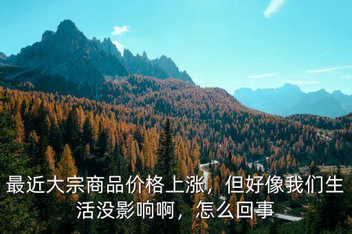 最近大宗商品價(jià)格上漲，但好像我們生活沒影響啊，怎么回事