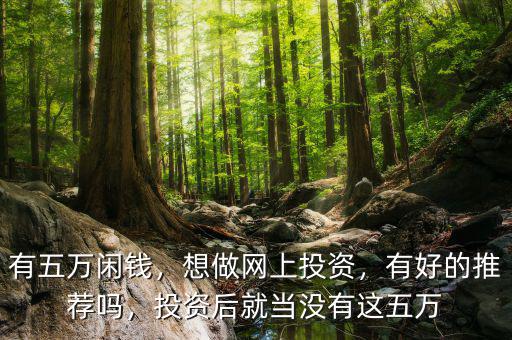 有五萬閑錢，想做網(wǎng)上投資，有好的推薦嗎，投資后就當(dāng)沒有這五萬