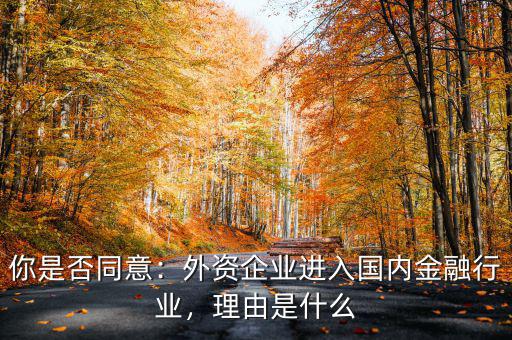 你是否同意：外資企業(yè)進(jìn)入國(guó)內(nèi)金融行業(yè)，理由是什么