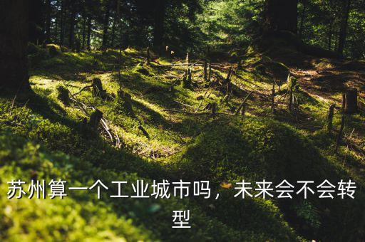 蘇州算一個工業(yè)城市嗎，未來會不會轉(zhuǎn)型