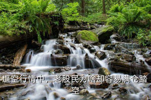 逼空行情中，老股民為啥卻容易滿倉(cāng)踏空