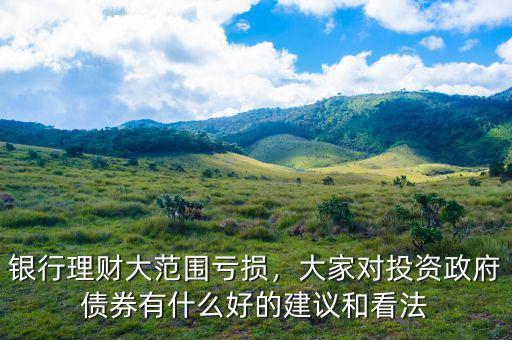 銀行理財(cái)大范圍虧損，大家對投資政府債券有什么好的建議和看法