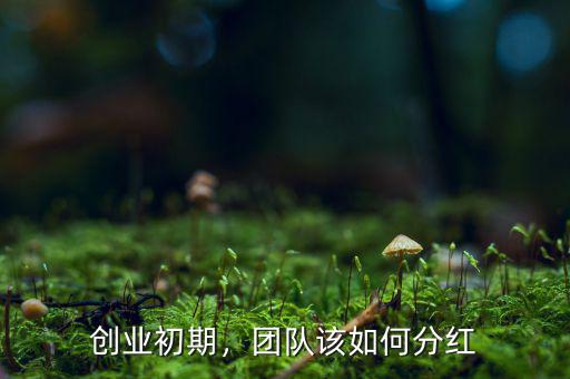 創(chuàng)業(yè)初期，團(tuán)隊(duì)該如何分紅