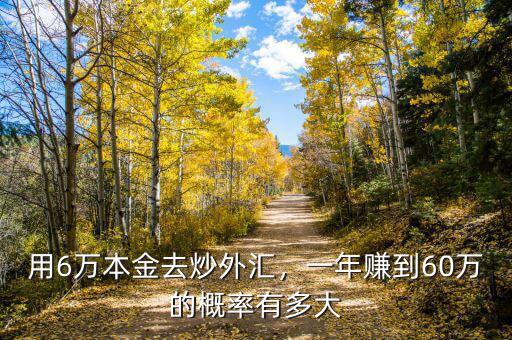 用6萬本金去炒外匯，一年賺到60萬的概率有多大