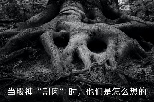 當股神“割肉”時，他們是怎么想的
