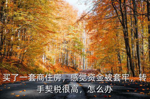 買了一套商住房，感覺資金被套牢，轉(zhuǎn)手契稅很高，怎么辦