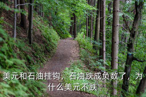 美元和石油掛鉤，石油跌成負(fù)數(shù)了，為什么美元不跌