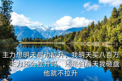 主力想明天啟動拉升，我明天買八百萬，主力還會拉升嗎，還是怕后天我砸盤他就不拉升