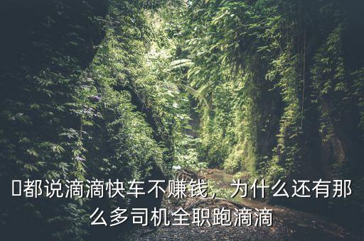 ?都說(shuō)滴滴快車不賺錢(qián)，為什么還有那么多司機(jī)全職跑滴滴