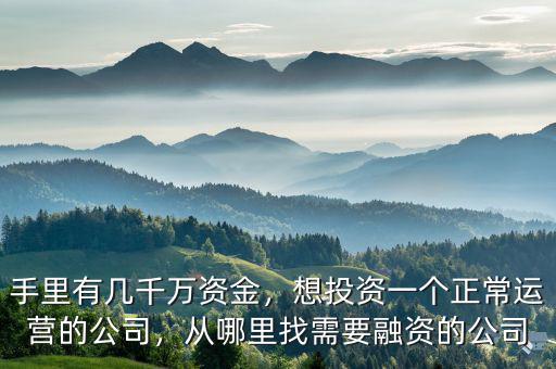 手里有幾千萬(wàn)資金，想投資一個(gè)正常運(yùn)營(yíng)的公司，從哪里找需要融資的公司