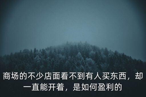 商場的不少店面看不到有人買東西，卻一直能開著，是如何盈利的