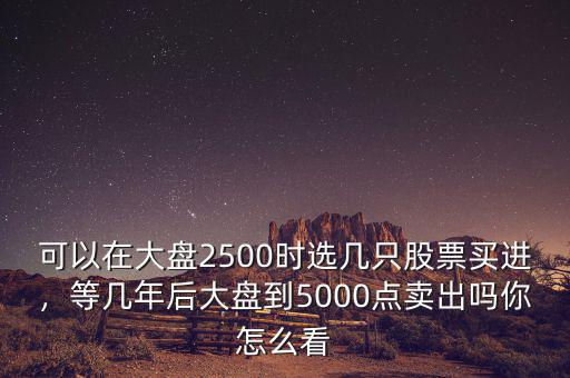 可以在大盤2500時選幾只股票買進，等幾年后大盤到5000點賣出嗎你怎么看