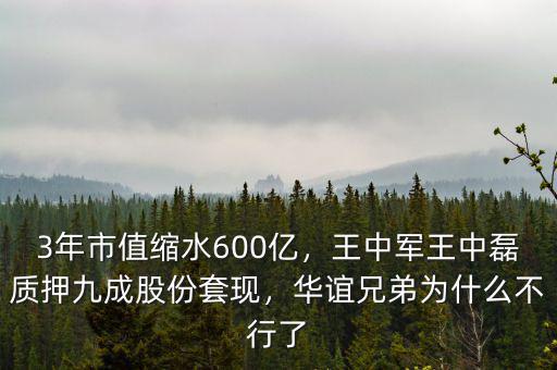 3年市值縮水600億，王中軍王中磊質(zhì)押九成股份套現(xiàn)，華誼兄弟為什么不行了