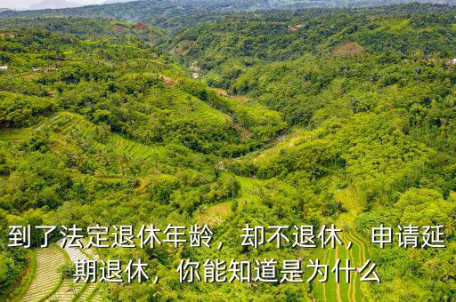 到了法定退休年齡，卻不退休，申請延期退休，你能知道是為什么